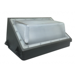Foco LED de 20W Para Pared - Luz Fra
